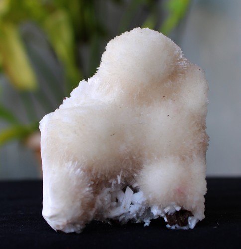Mesolite format matrix - format,